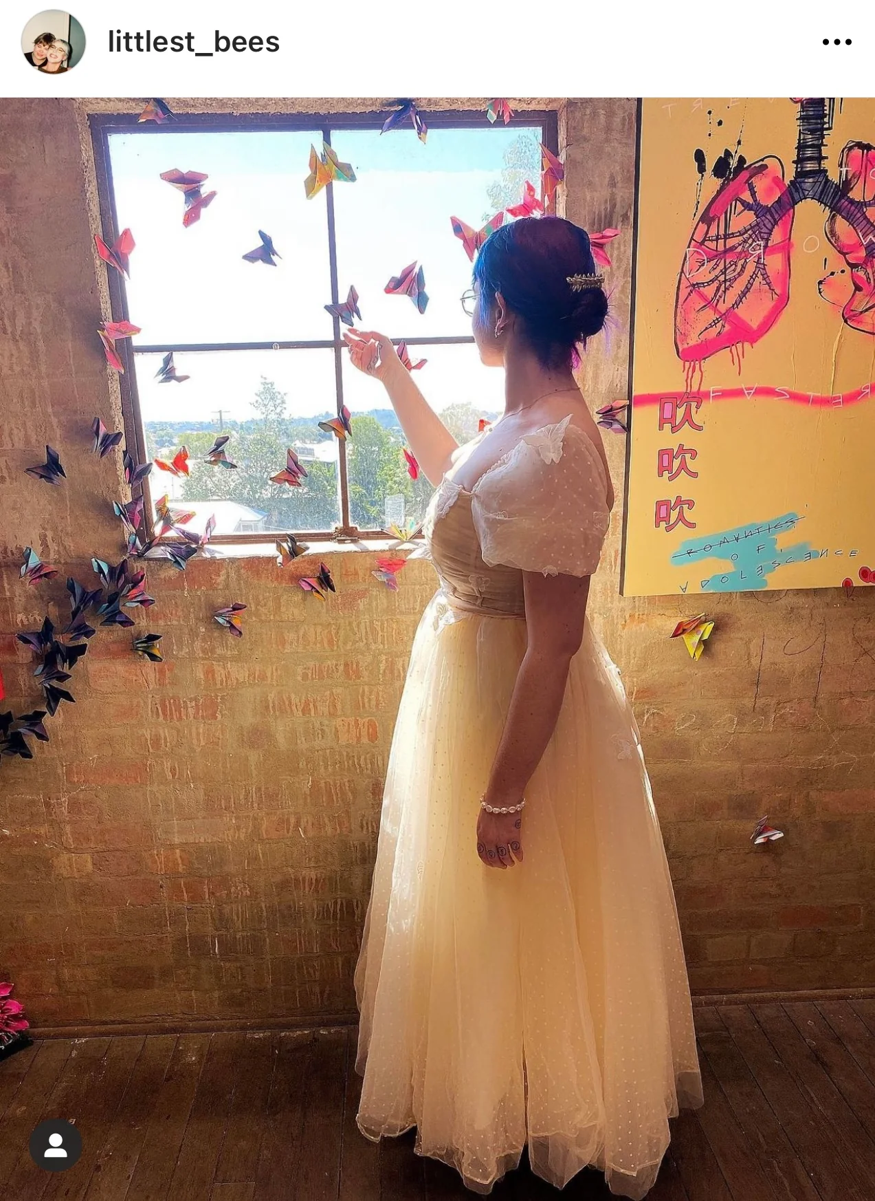 Butterfly fairy dress - Image 4